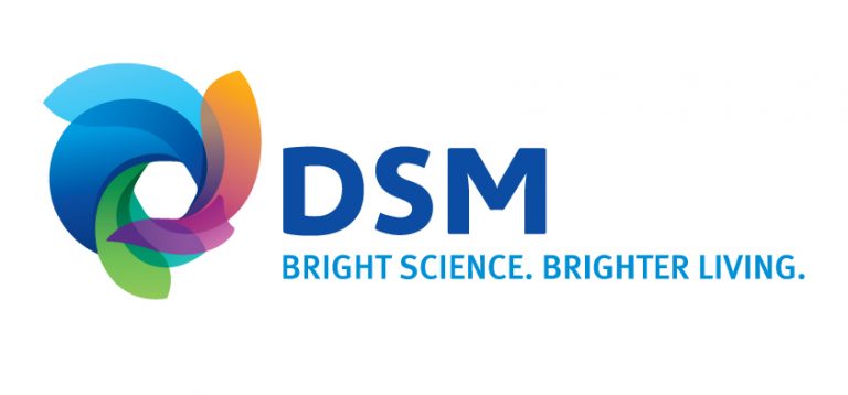 Dsm Logo Version